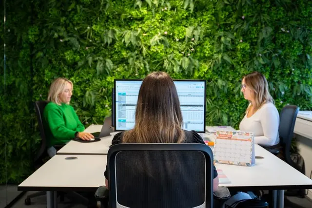 The Kabinly team at work